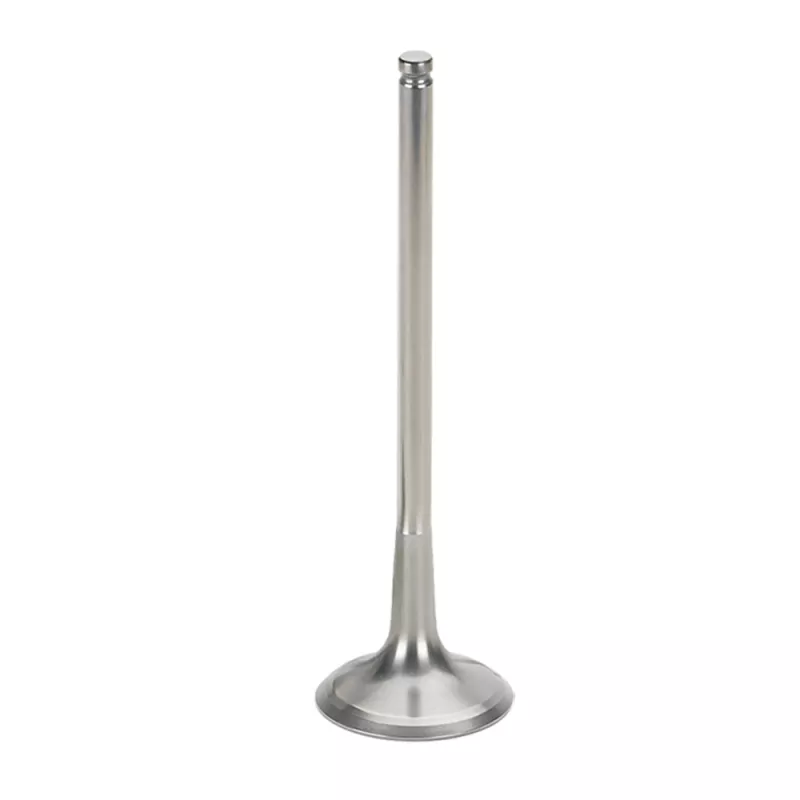 SPT PWS Exhaust Valves