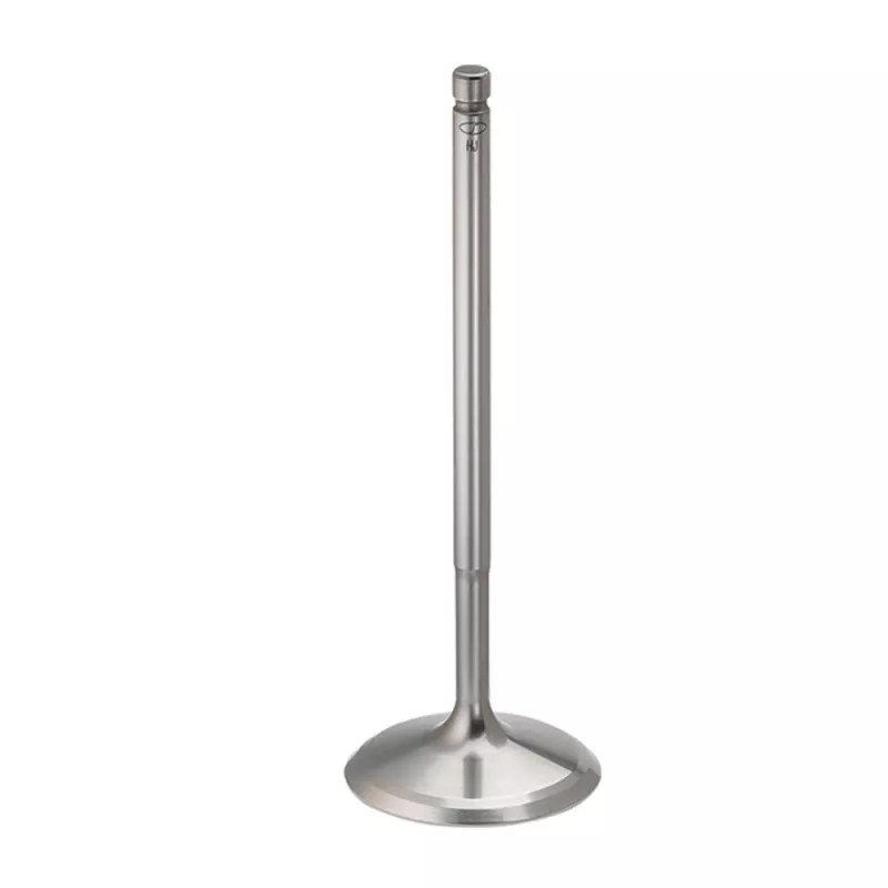 SPT PWS Intake Valves