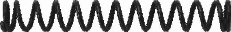SSC Valve Springs